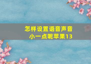 怎样设置语音声音小一点呢苹果13