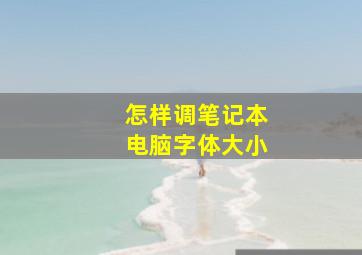 怎样调笔记本电脑字体大小