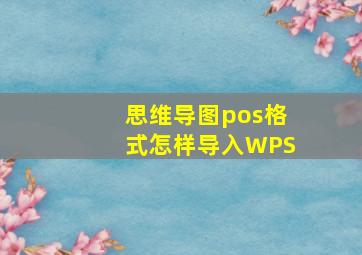 思维导图pos格式怎样导入WPS