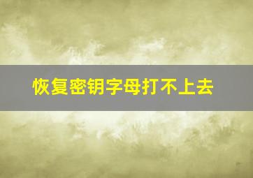 恢复密钥字母打不上去