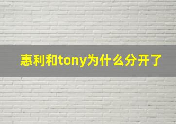 惠利和tony为什么分开了