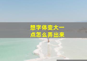 想字体变大一点怎么弄出来