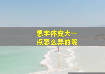 想字体变大一点怎么弄的呢