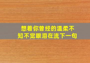 想着你曾经的温柔不知不觉眼泪在流下一句