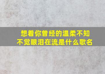 想着你曾经的温柔不知不觉眼泪在流是什么歌名