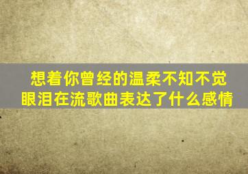 想着你曾经的温柔不知不觉眼泪在流歌曲表达了什么感情