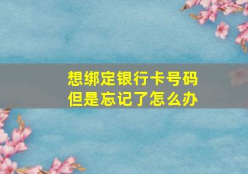 想绑定银行卡号码但是忘记了怎么办