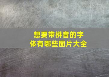 想要带拼音的字体有哪些图片大全