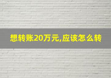 想转账20万元,应该怎么转