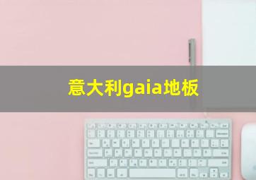 意大利gaia地板