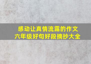 感动让真情流露的作文六年级好句好段摘抄大全