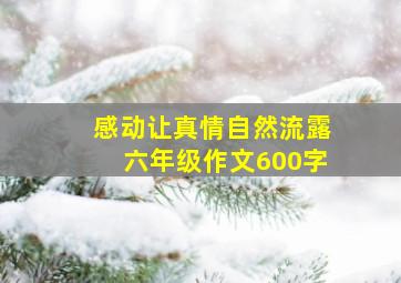 感动让真情自然流露六年级作文600字