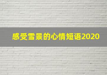 感受雪景的心情短语2020