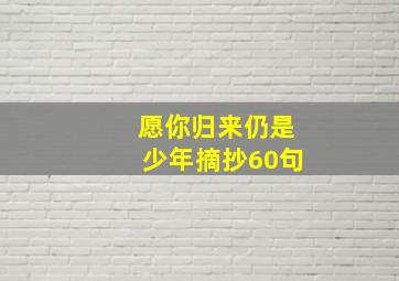 愿你归来仍是少年摘抄60句