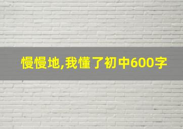 慢慢地,我懂了初中600字