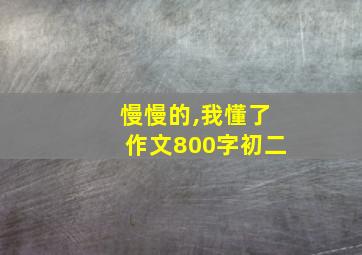 慢慢的,我懂了作文800字初二