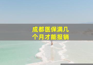 成都医保满几个月才能报销