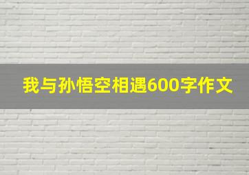 我与孙悟空相遇600字作文