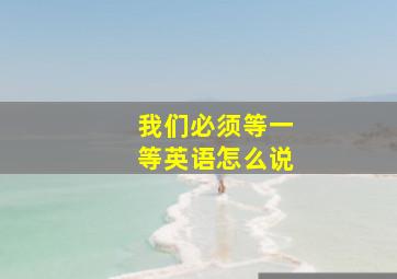 我们必须等一等英语怎么说