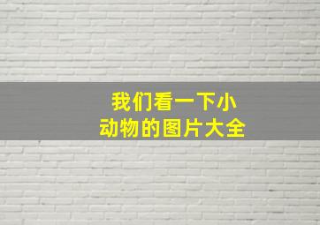 我们看一下小动物的图片大全