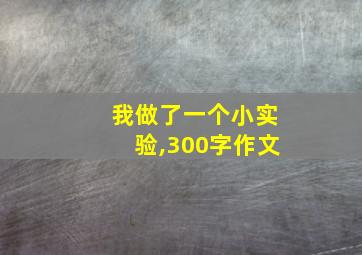 我做了一个小实验,300字作文