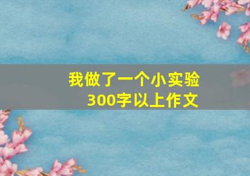 我做了一个小实验300字以上作文