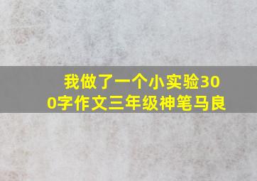 我做了一个小实验300字作文三年级神笔马良