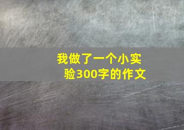 我做了一个小实验300字的作文