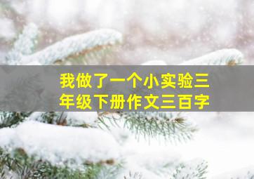 我做了一个小实验三年级下册作文三百字