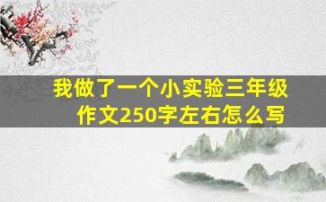 我做了一个小实验三年级作文250字左右怎么写