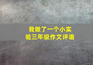 我做了一个小实验三年级作文评语