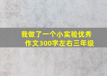 我做了一个小实验优秀作文300字左右三年级