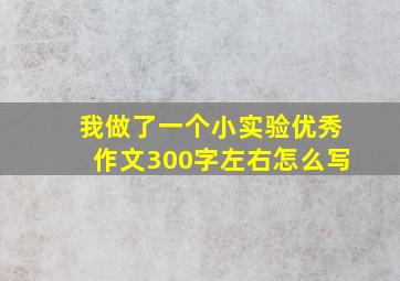 我做了一个小实验优秀作文300字左右怎么写