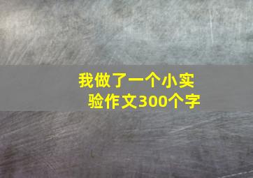 我做了一个小实验作文300个字