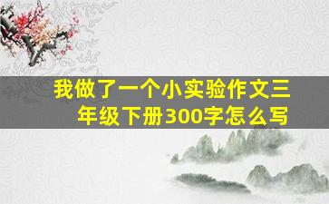 我做了一个小实验作文三年级下册300字怎么写