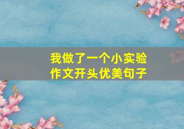 我做了一个小实验作文开头优美句子