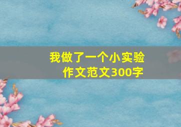 我做了一个小实验作文范文300字