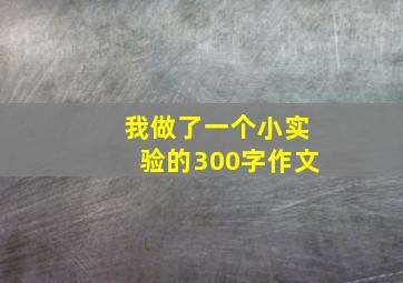 我做了一个小实验的300字作文