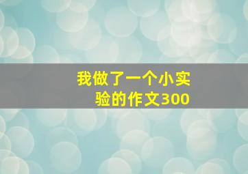 我做了一个小实验的作文300