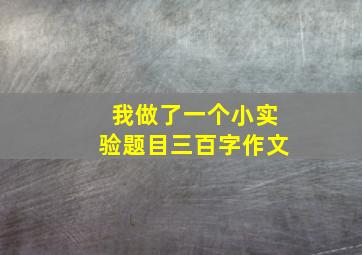 我做了一个小实验题目三百字作文