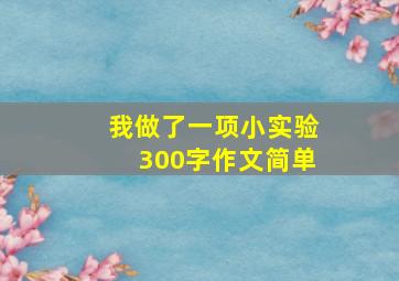 我做了一项小实验300字作文简单