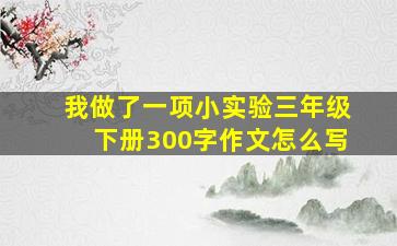 我做了一项小实验三年级下册300字作文怎么写