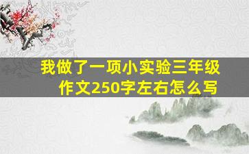 我做了一项小实验三年级作文250字左右怎么写