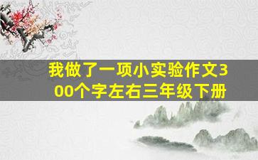 我做了一项小实验作文300个字左右三年级下册