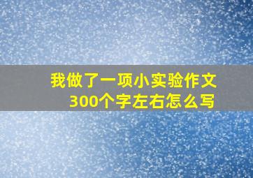 我做了一项小实验作文300个字左右怎么写