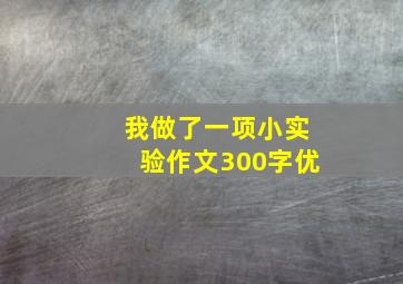 我做了一项小实验作文300字优