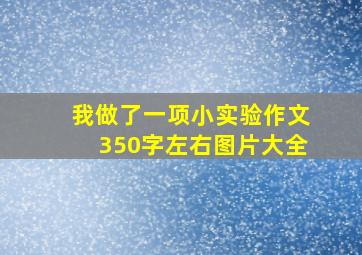 我做了一项小实验作文350字左右图片大全