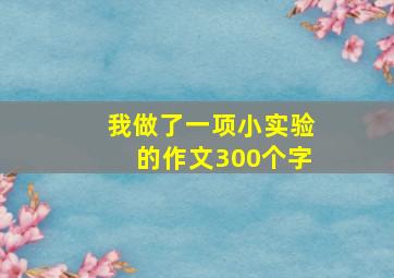 我做了一项小实验的作文300个字