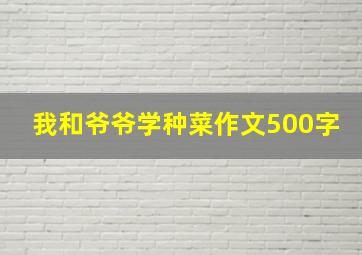 我和爷爷学种菜作文500字