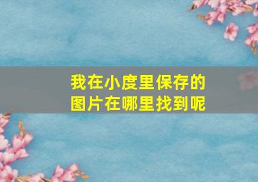 我在小度里保存的图片在哪里找到呢